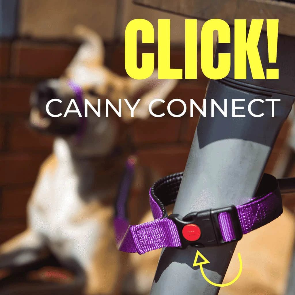 Canny Lead (Canny Company) - SnowPaw Store - Canny Company - Dog Lead